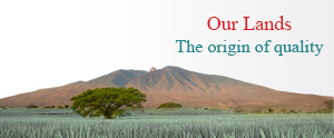Our Lands