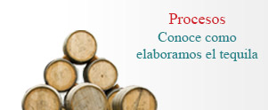 Procesos
