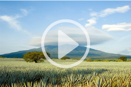 Tequila, Jalisco
